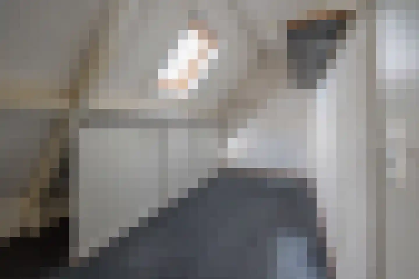 Slagmoer 36 Oudenbosch thumbnail 33