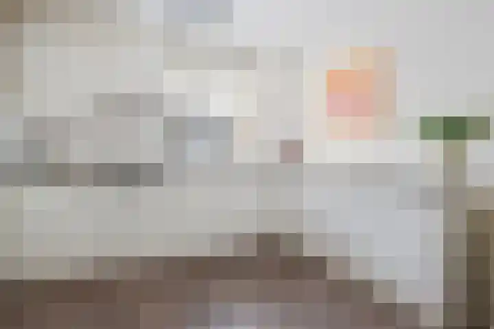 Slagmoer 42 Oudenbosch thumbnail 16