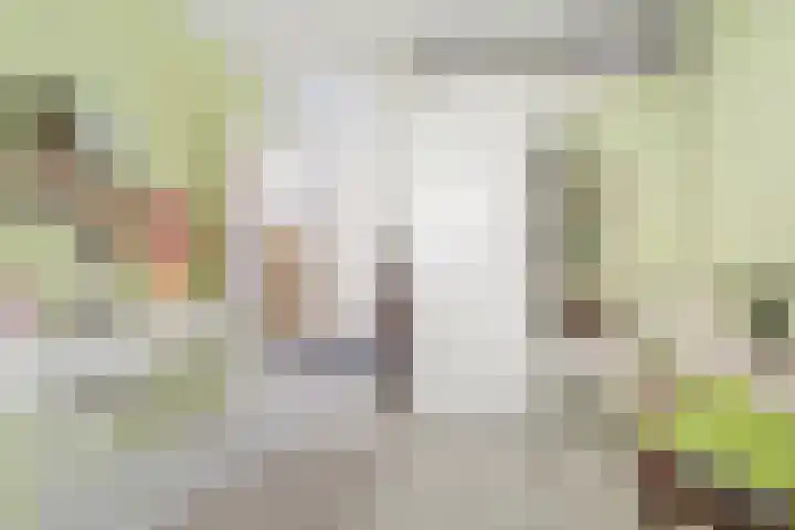 Slagmoer 42 Oudenbosch thumbnail 21