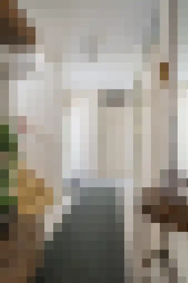 Slagmoer 42 Oudenbosch thumbnail 28