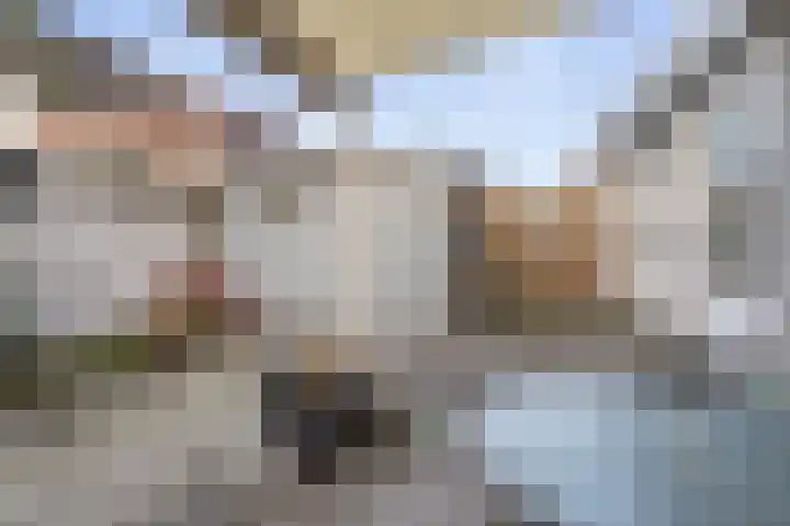 Slagmoer 42 Oudenbosch thumbnail 37
