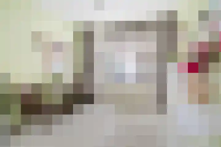 Slagmoer 42 Oudenbosch thumbnail 6