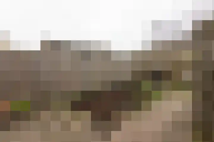 Slagsteenkreek 2 Spijkenisse thumbnail 15