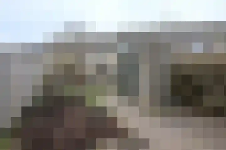Slagsteenkreek 2 Spijkenisse thumbnail 16