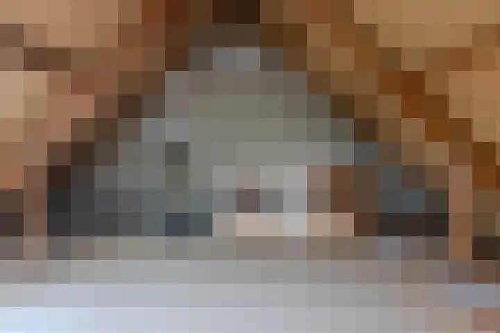 Slagsteenkreek 2 Spijkenisse thumbnail 31