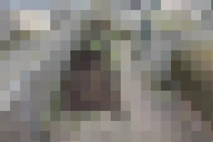 Slagsteenkreek 2 Spijkenisse thumbnail 33