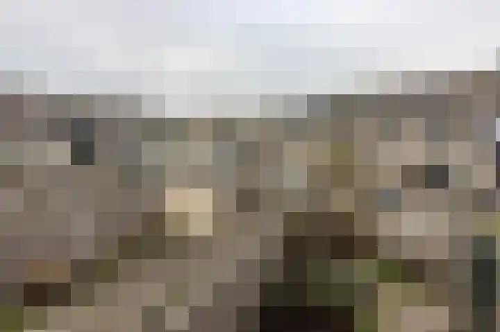 Slagsteenkreek 2 Spijkenisse thumbnail 34