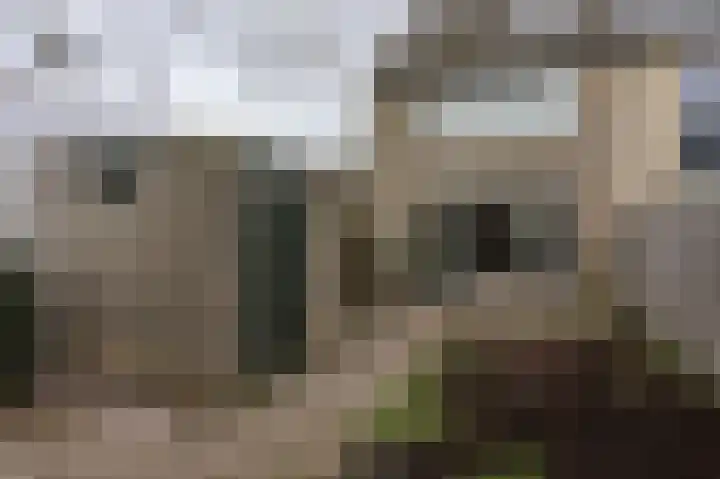Slagsteenkreek 2 Spijkenisse thumbnail 5