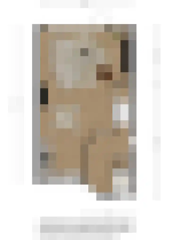 Slagsteenkreek 2 Spijkenisse thumbnail 8