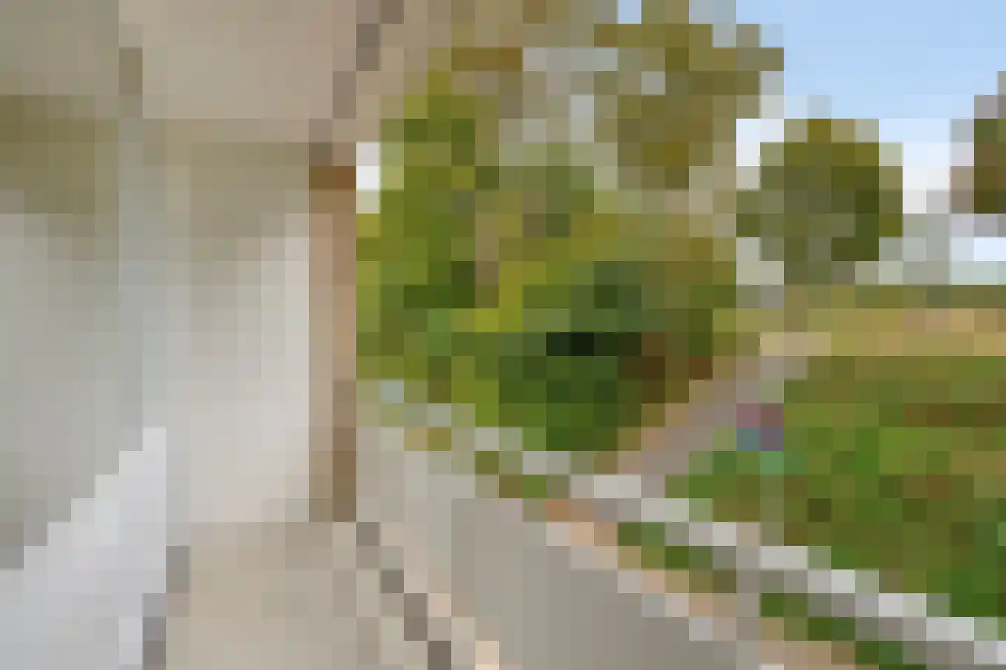 Slagsteenstraat 2 Gronsveld thumbnail 14