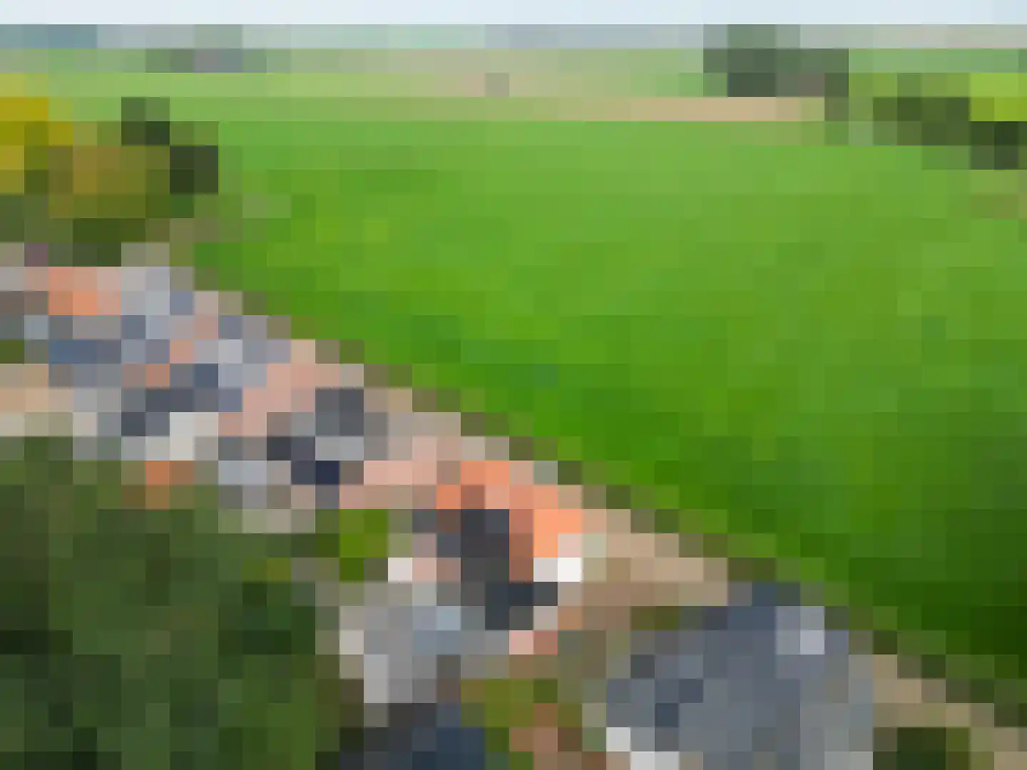 Slagtersrijge 13 Ezinge thumbnail 11