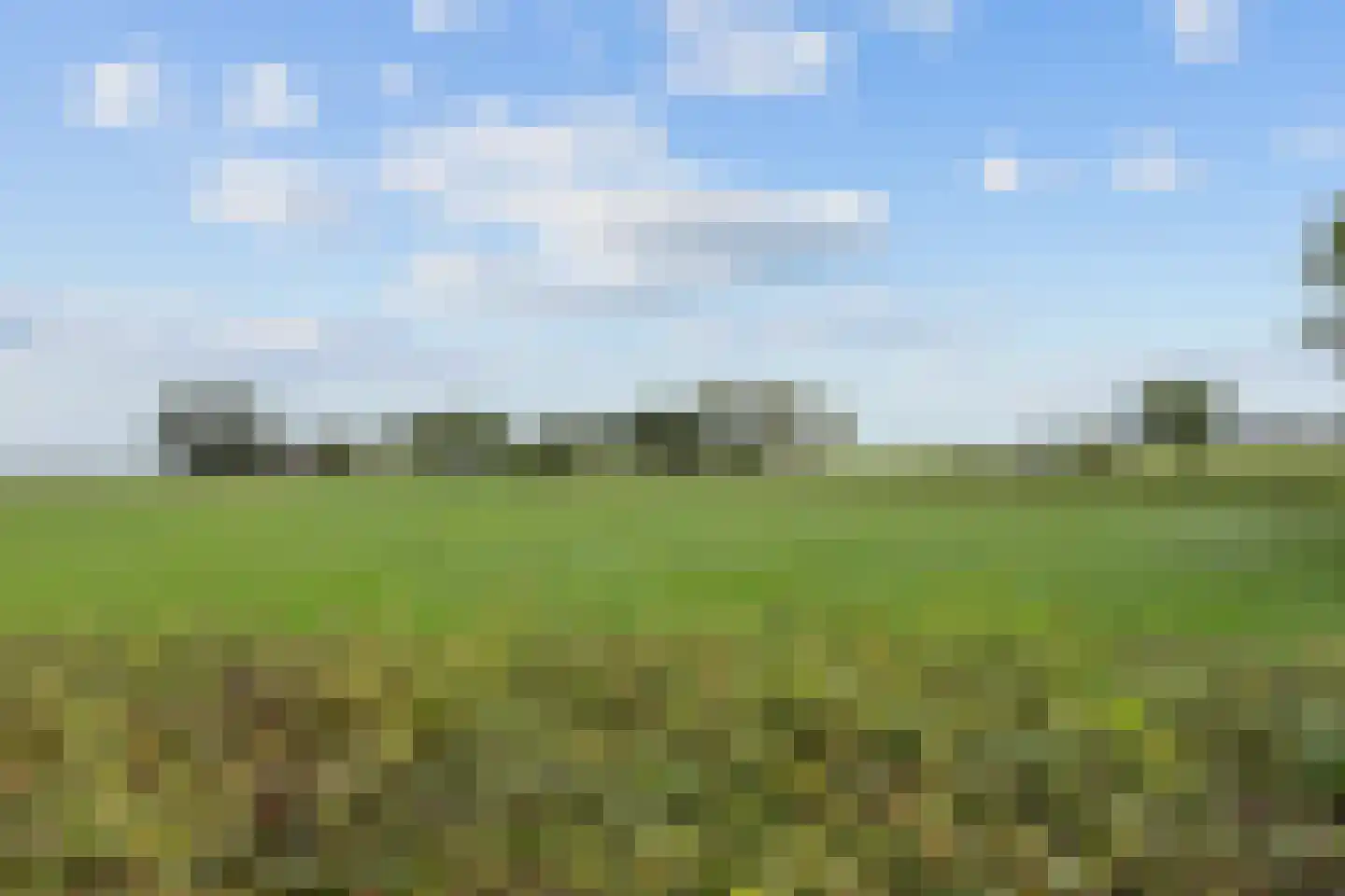 Slagtersrijge 13 Ezinge thumbnail 19