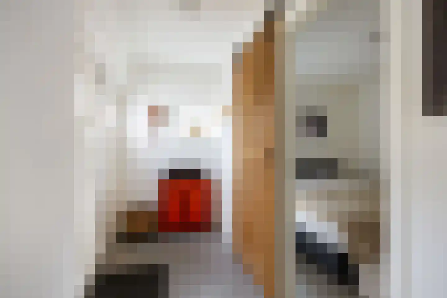 Slagtersrijge 13 Ezinge thumbnail 21