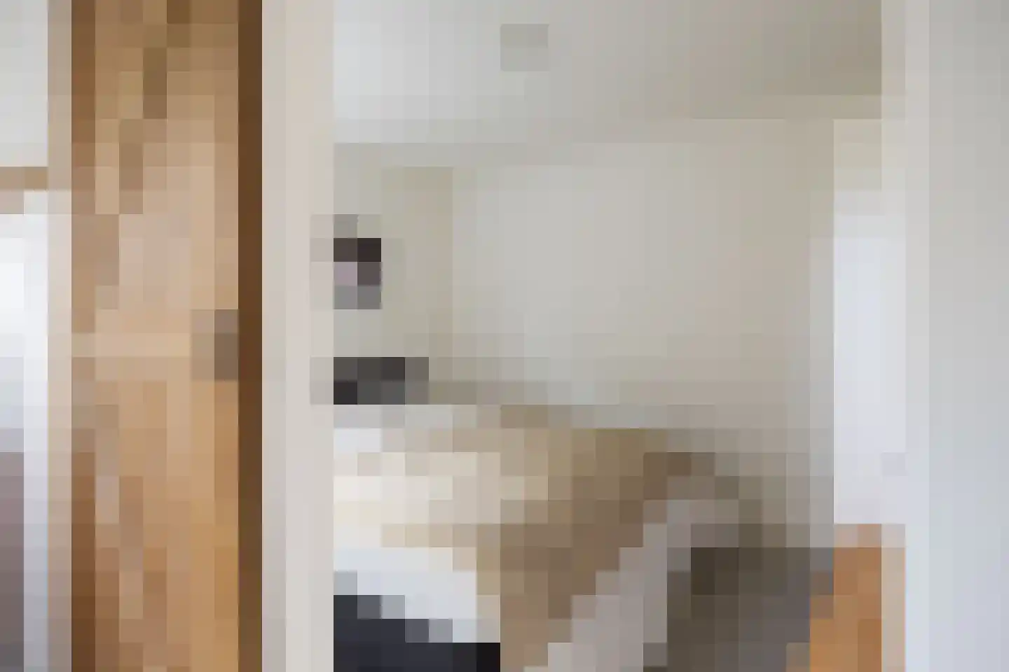 Slagtersrijge 13 Ezinge thumbnail 24