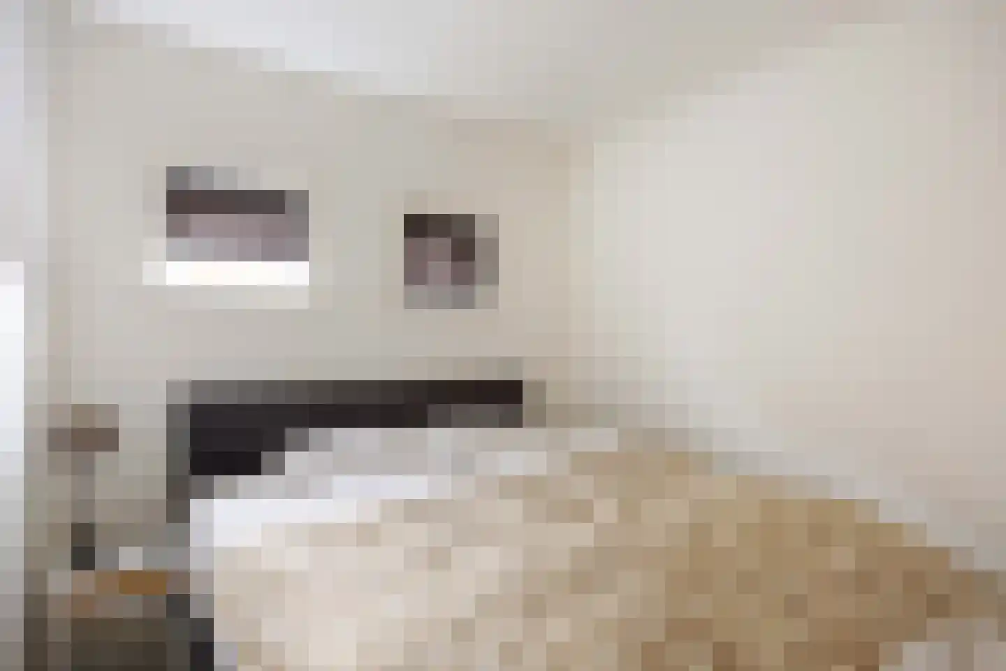 Slagtersrijge 13 Ezinge thumbnail 26