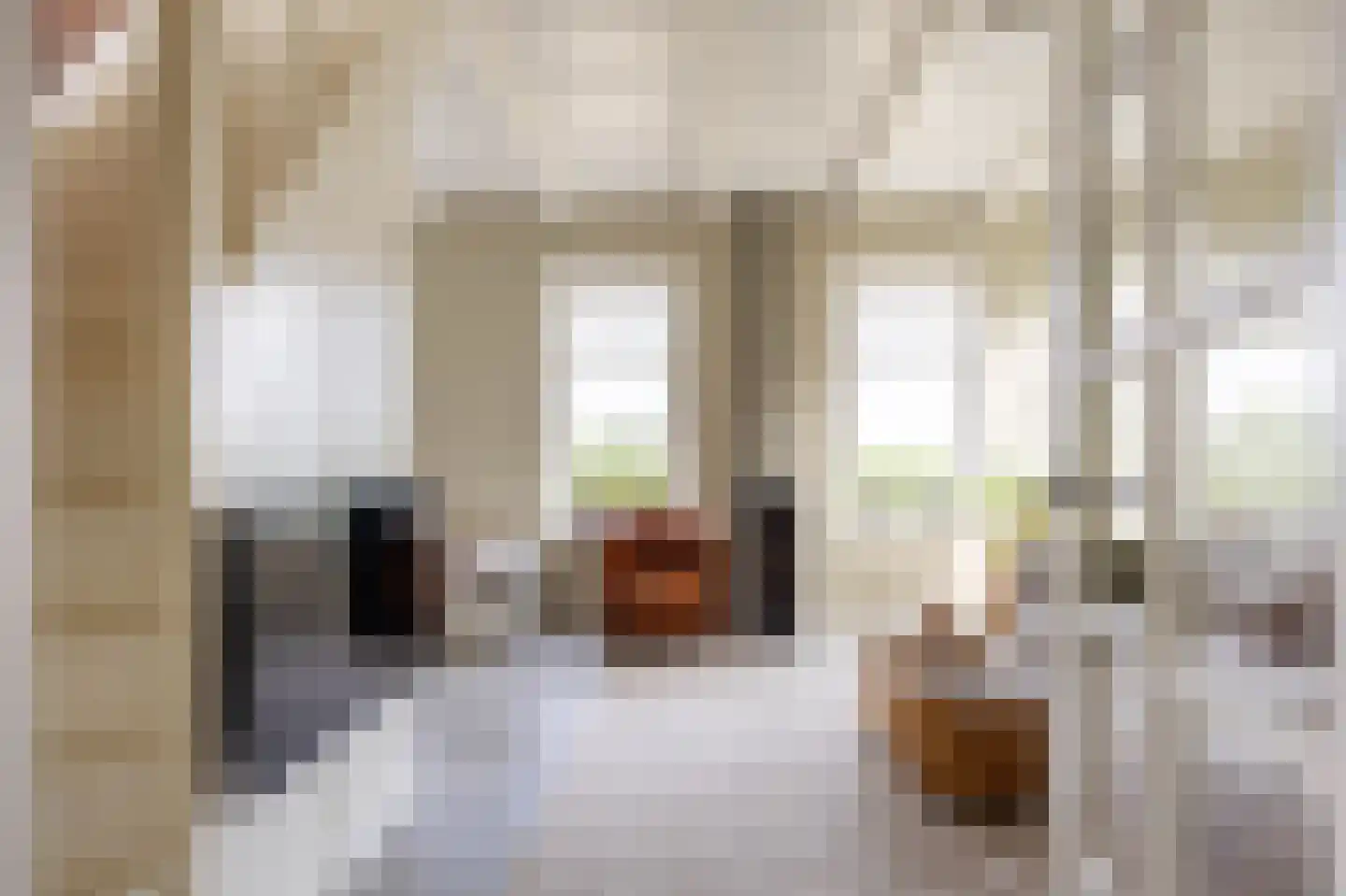 Slagtersrijge 13 Ezinge thumbnail 34