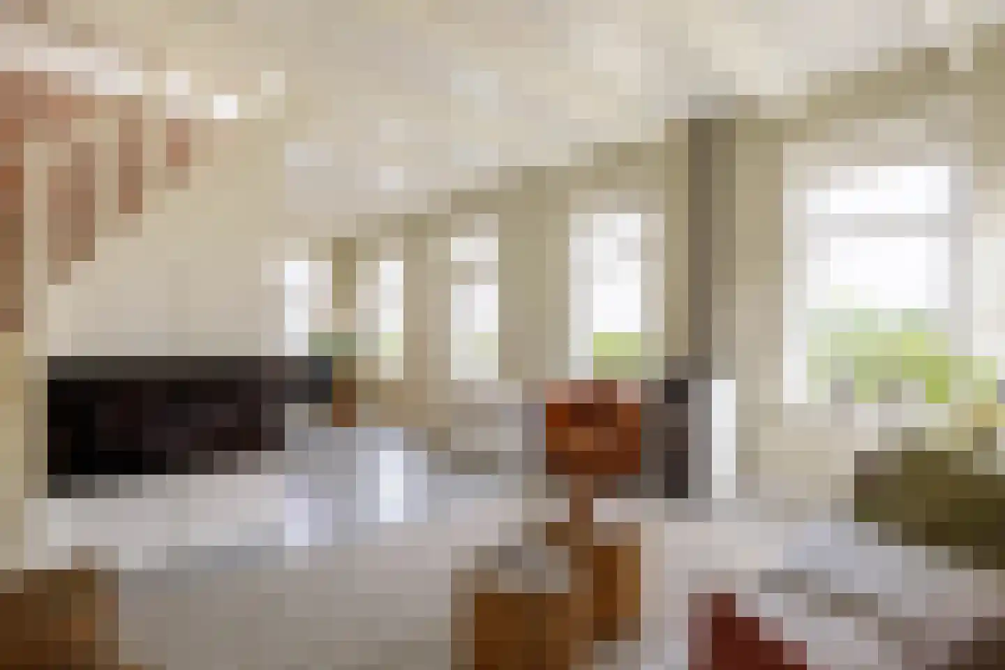 Slagtersrijge 13 Ezinge thumbnail 36