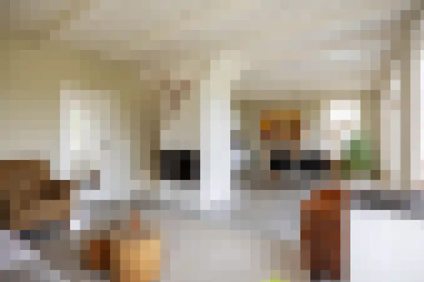 Slagtersrijge 13 Ezinge thumbnail 38