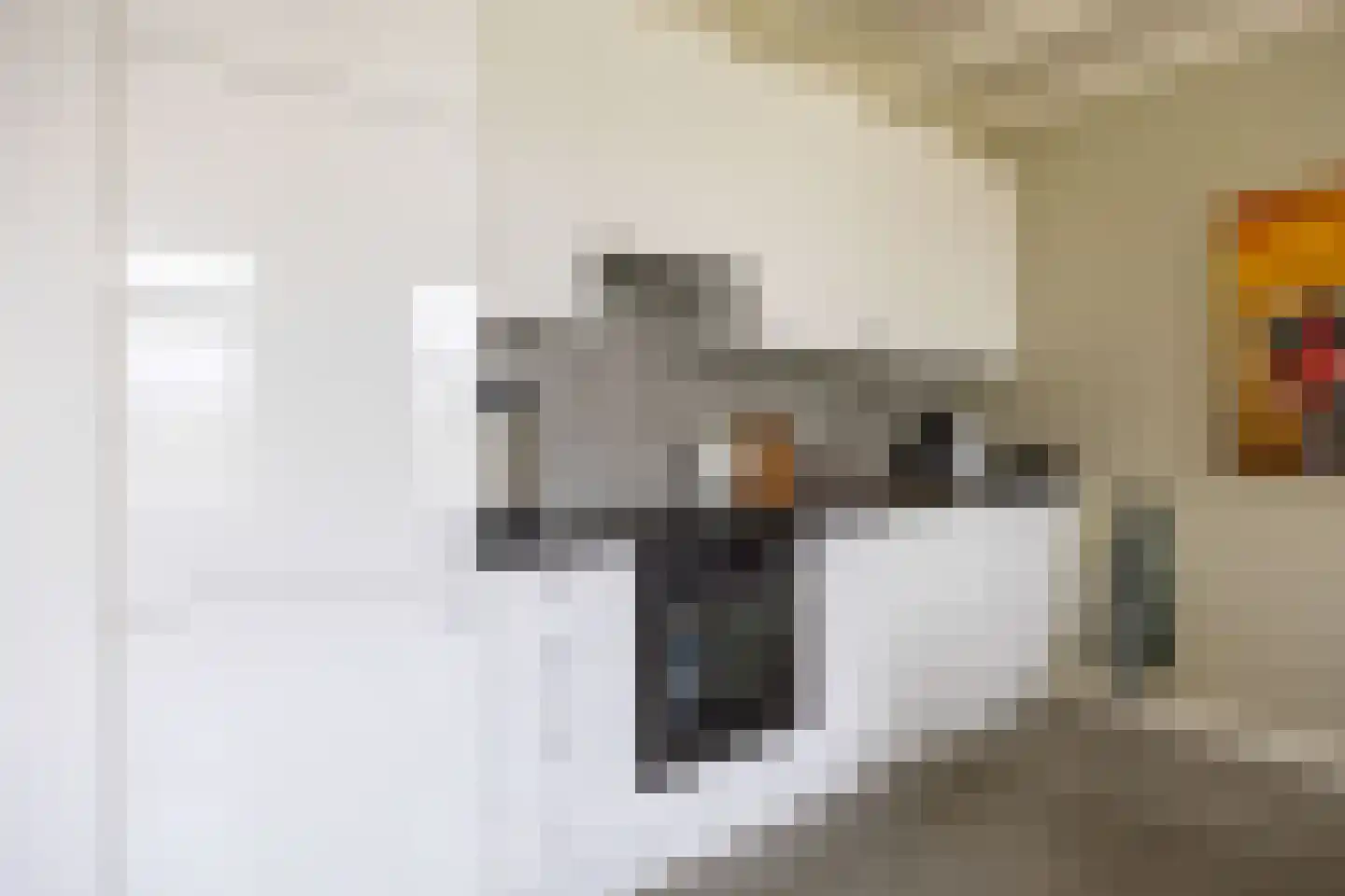 Slagtersrijge 13 Ezinge thumbnail 41