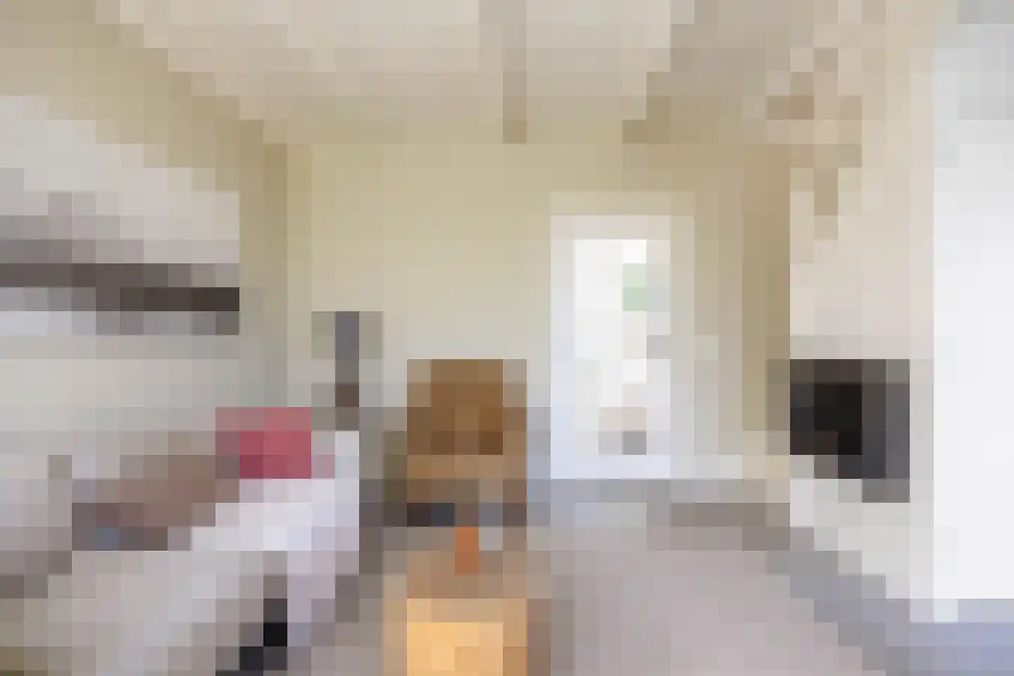 Slagtersrijge 13 Ezinge thumbnail 50