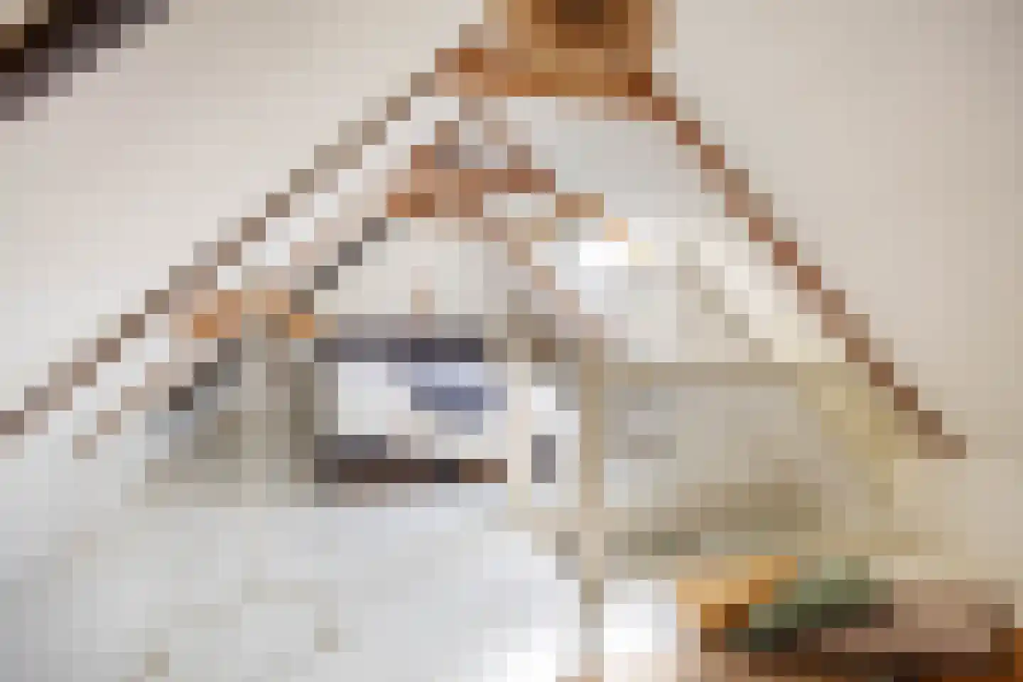 Slagtersrijge 13 Ezinge thumbnail 52