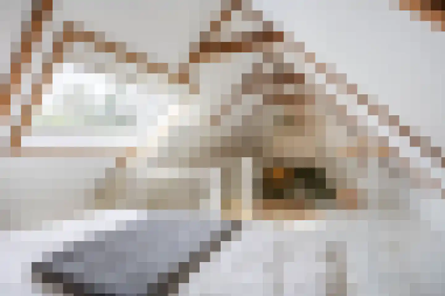 Slagtersrijge 13 Ezinge thumbnail 53