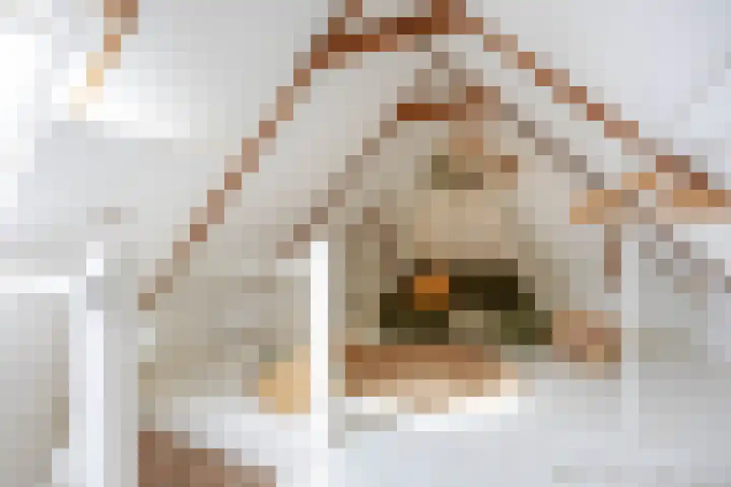 Slagtersrijge 13 Ezinge thumbnail 54