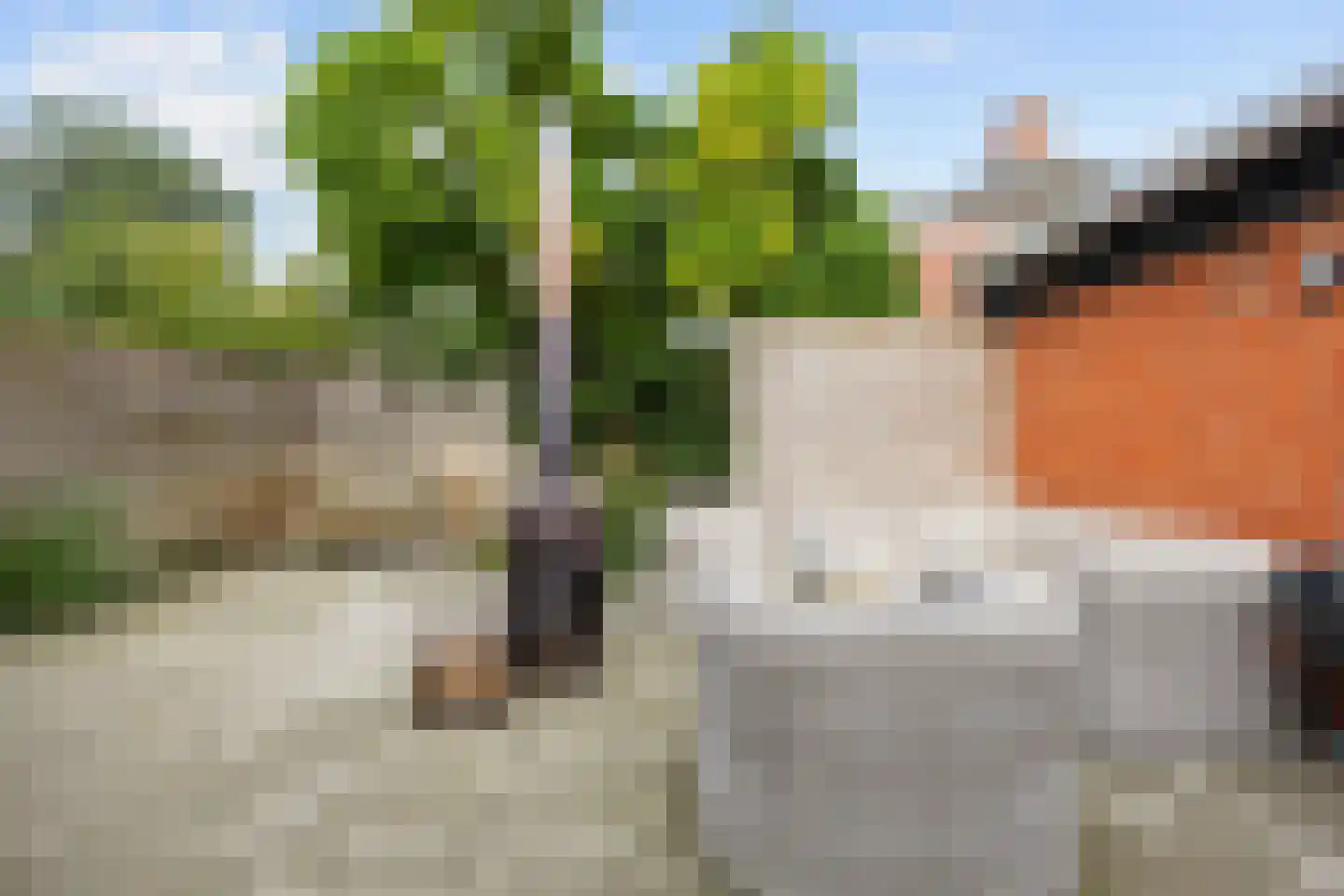 Slagtersrijge 13 Ezinge thumbnail 56