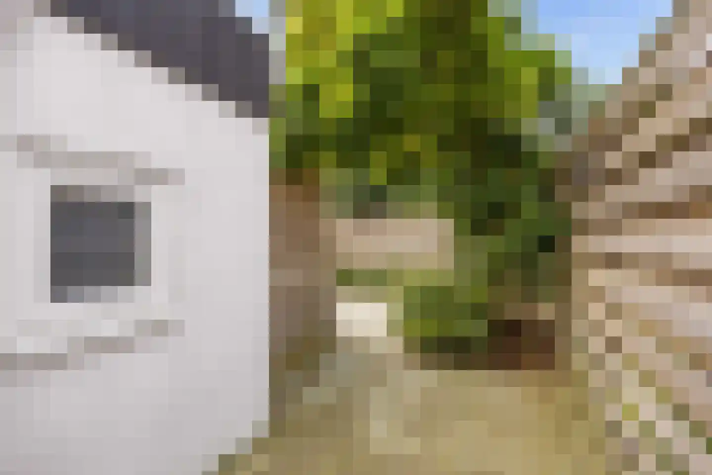 Slagtersrijge 13 Ezinge thumbnail 62