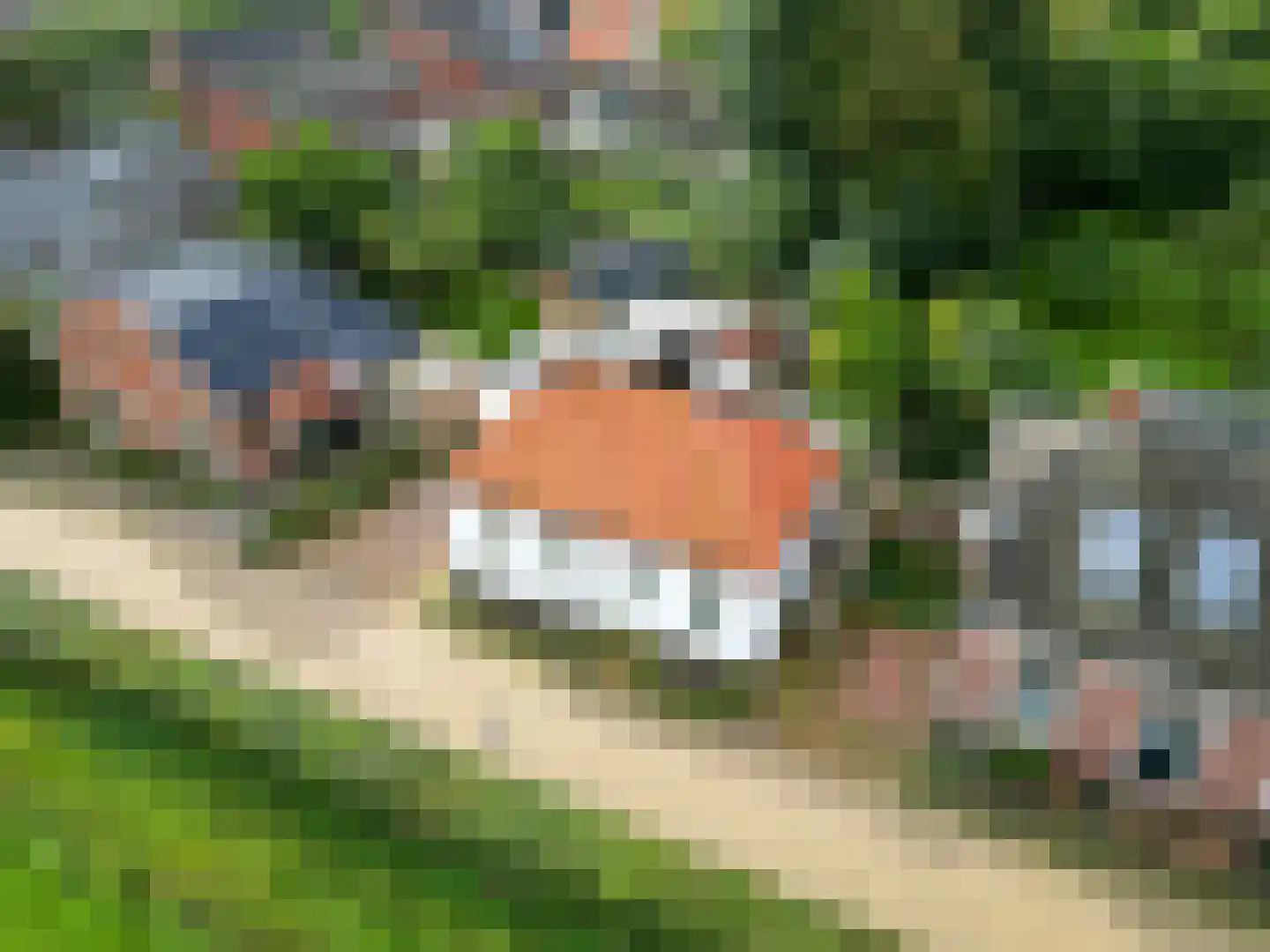Slagtersrijge 13 Ezinge thumbnail 9