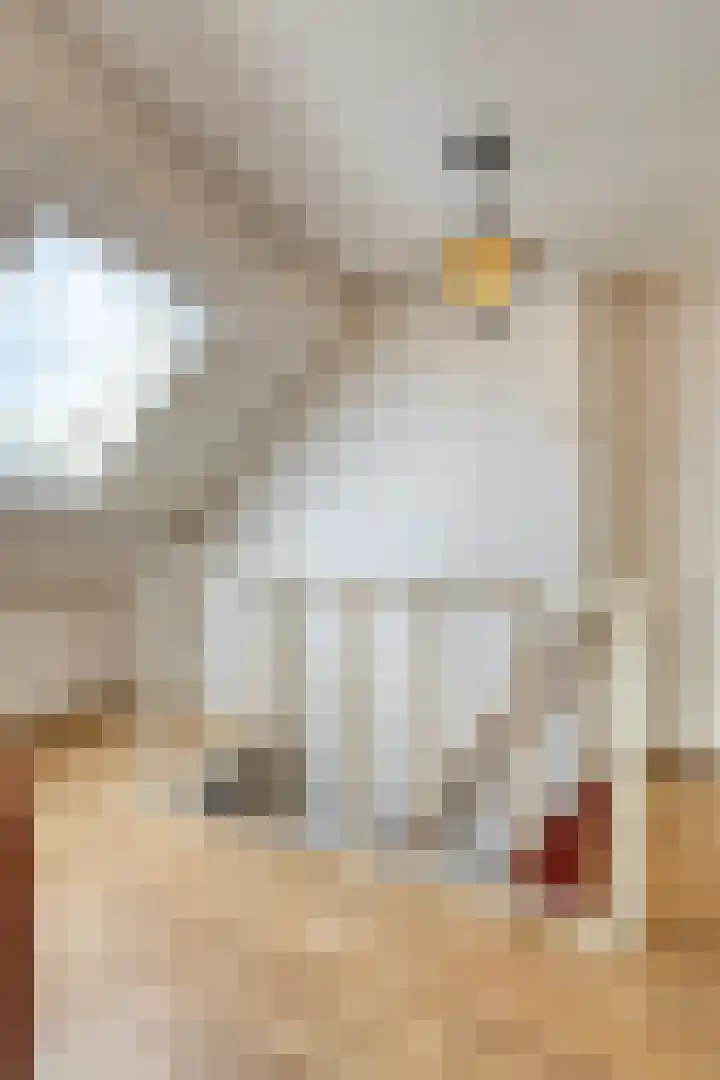 Slagtweistraat 1 Oudelande thumbnail 23