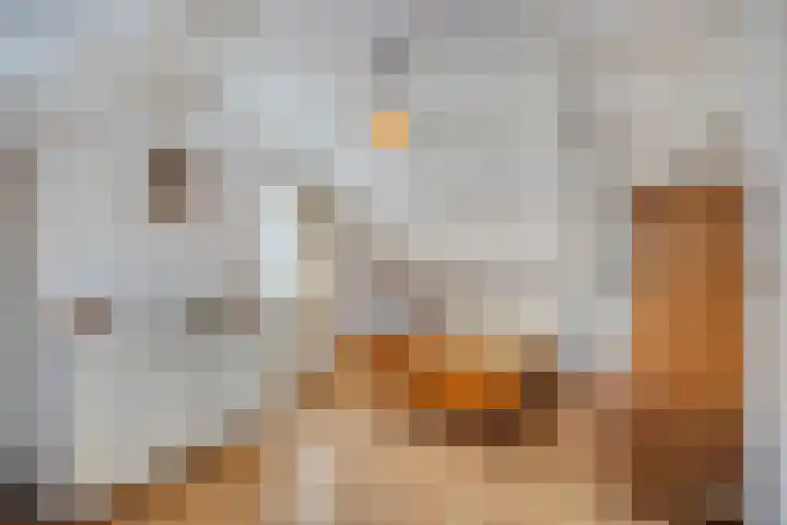 Slagtweistraat 1 Oudelande thumbnail 27