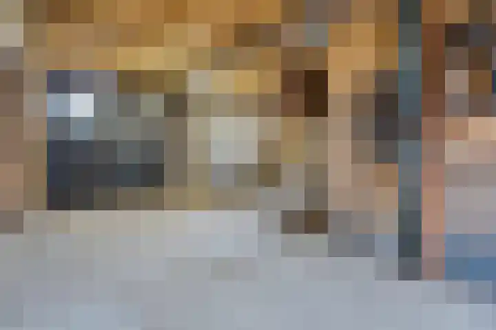 Slagtweistraat 1 Oudelande thumbnail 32