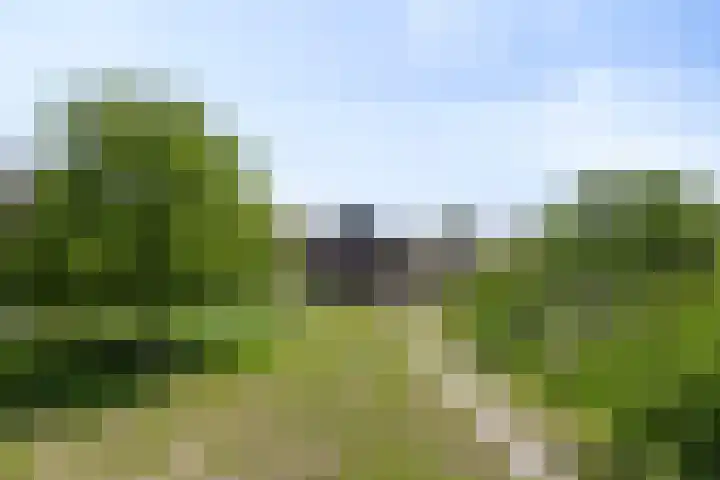 Slagtweistraat 1 Oudelande thumbnail 40