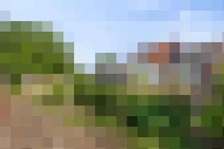 Slagtweistraat 1 Oudelande thumbnail 43