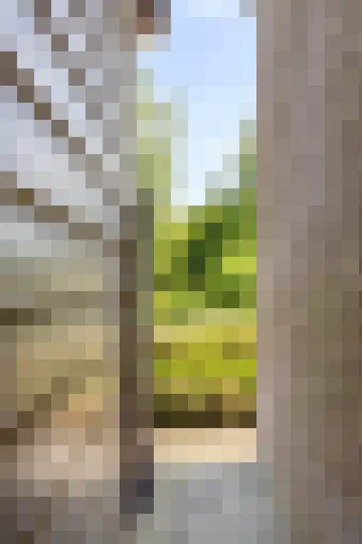 Slagtweistraat 1 Oudelande thumbnail 46