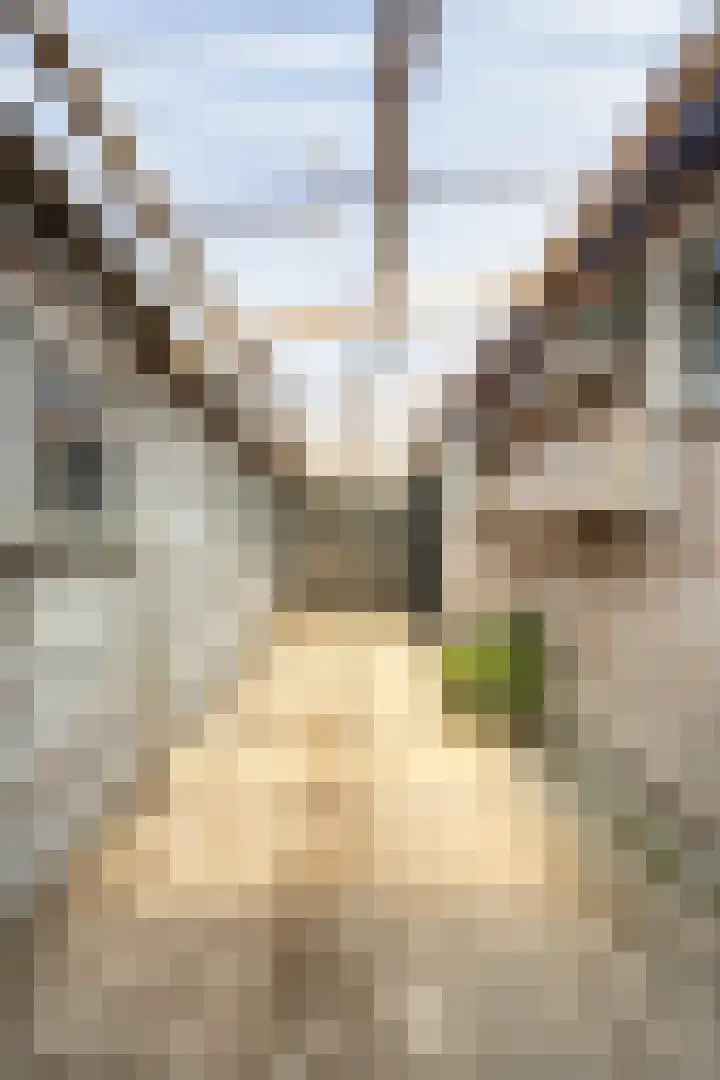 Slagtweistraat 1 Oudelande thumbnail 47