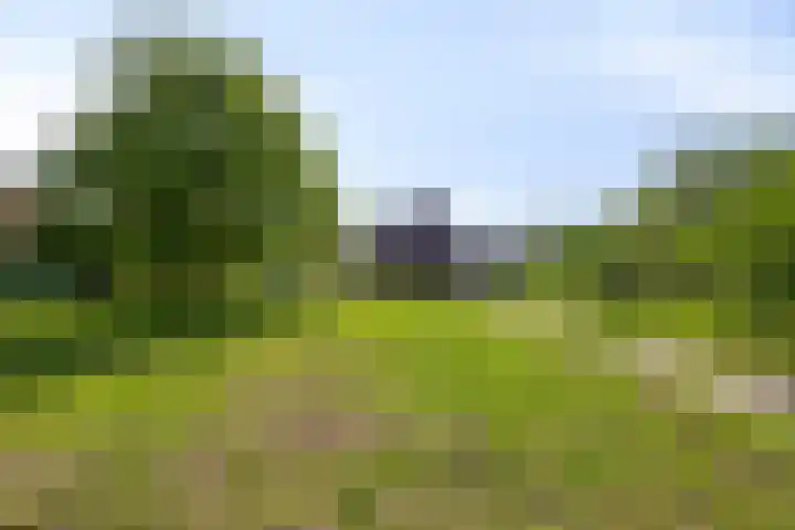 Slagtweistraat 1 Oudelande thumbnail 52
