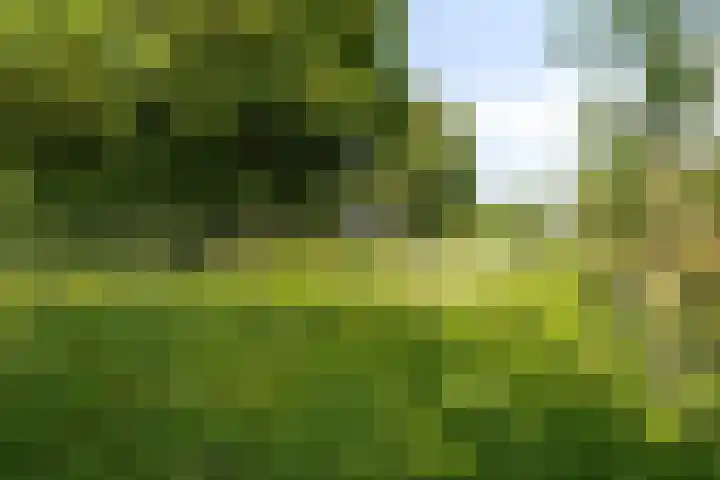Slagtweistraat 1 Oudelande thumbnail 53
