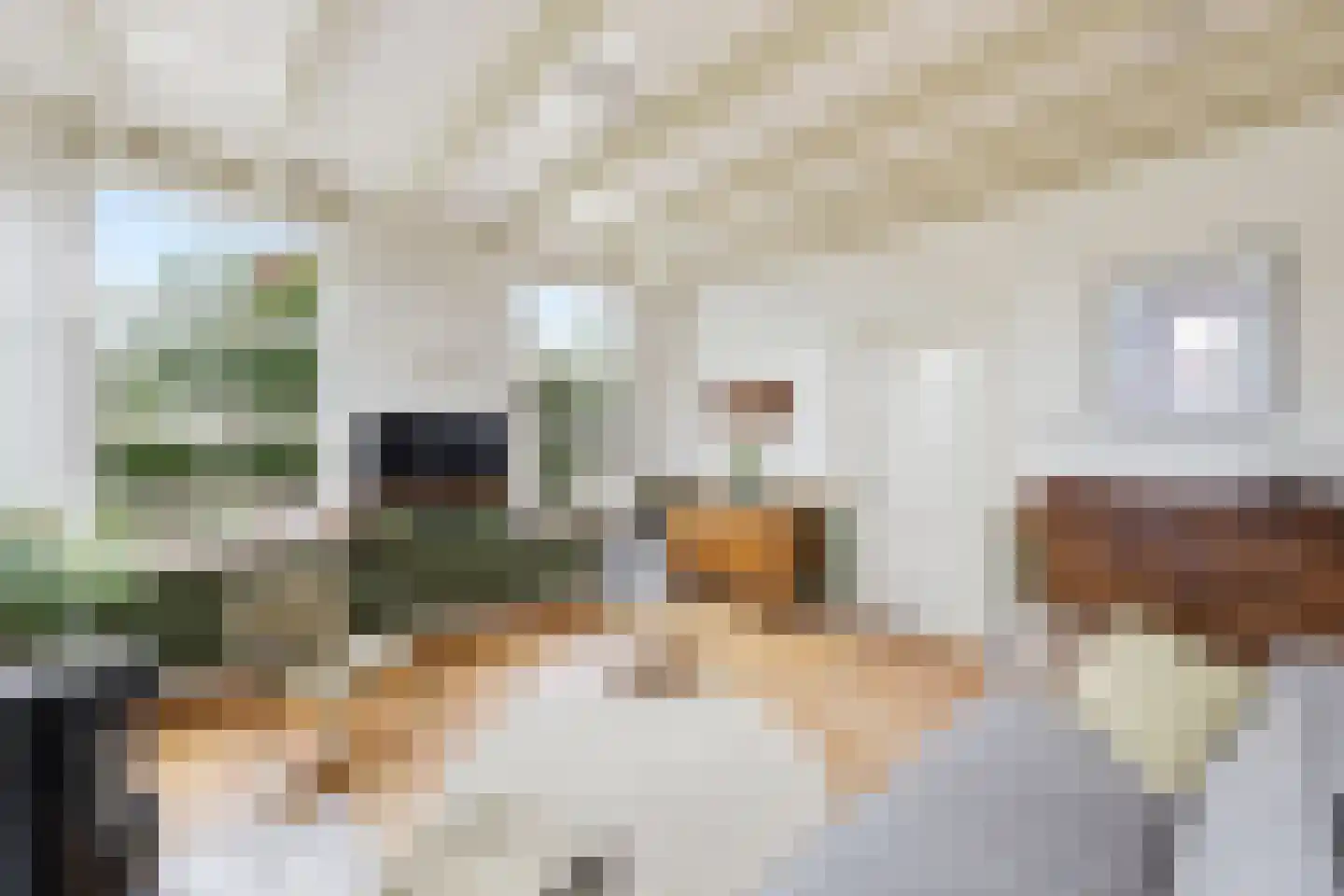 Slagtweistraat 27 Oudelande thumbnail 11