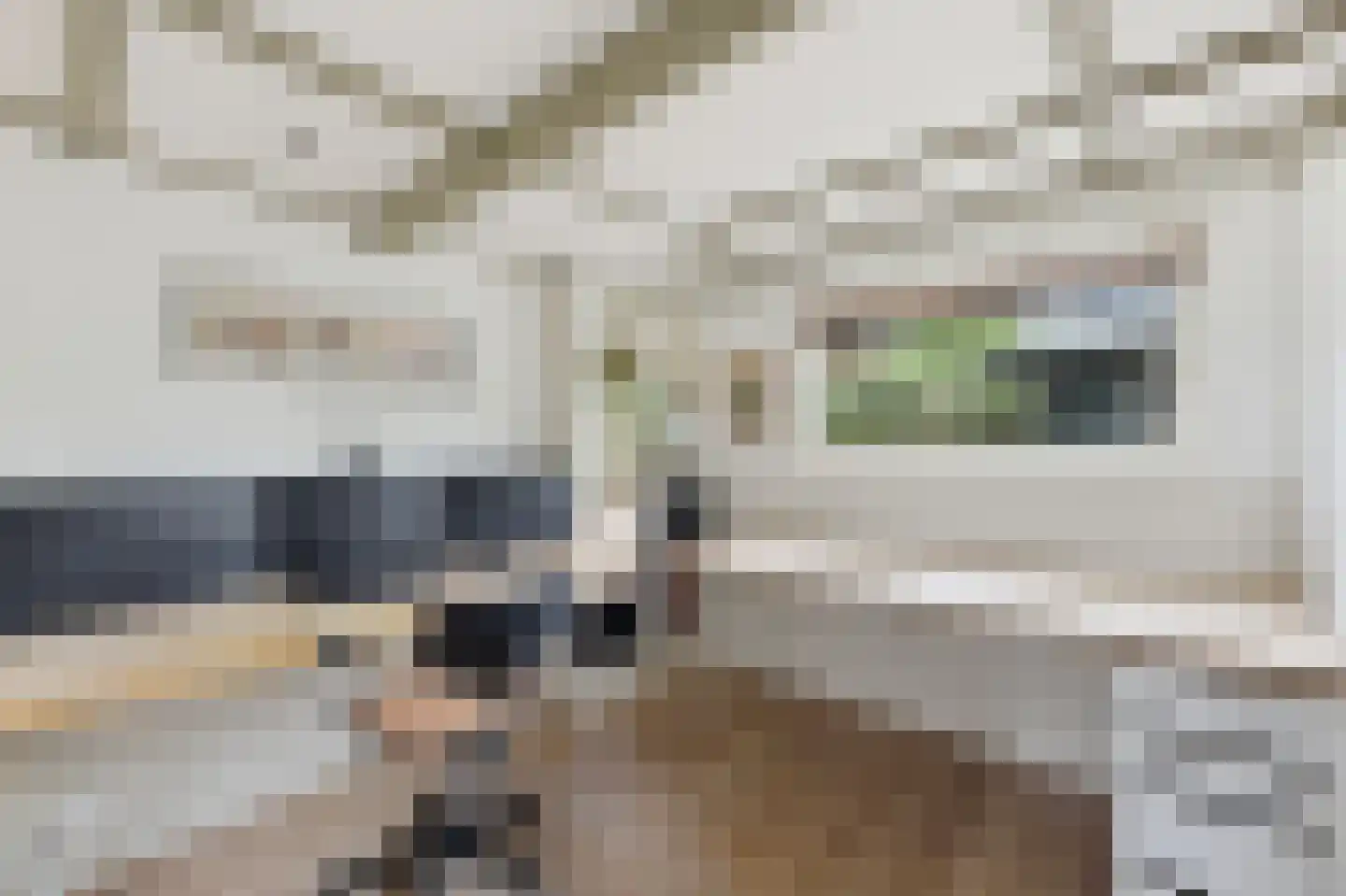Slagtweistraat 27 Oudelande thumbnail 20