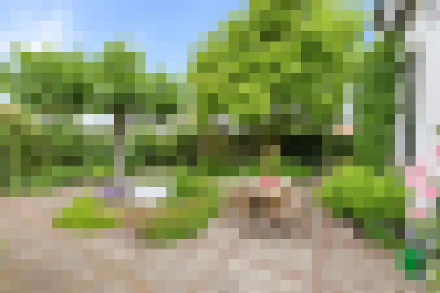 Slagtweistraat 27 Oudelande thumbnail 28