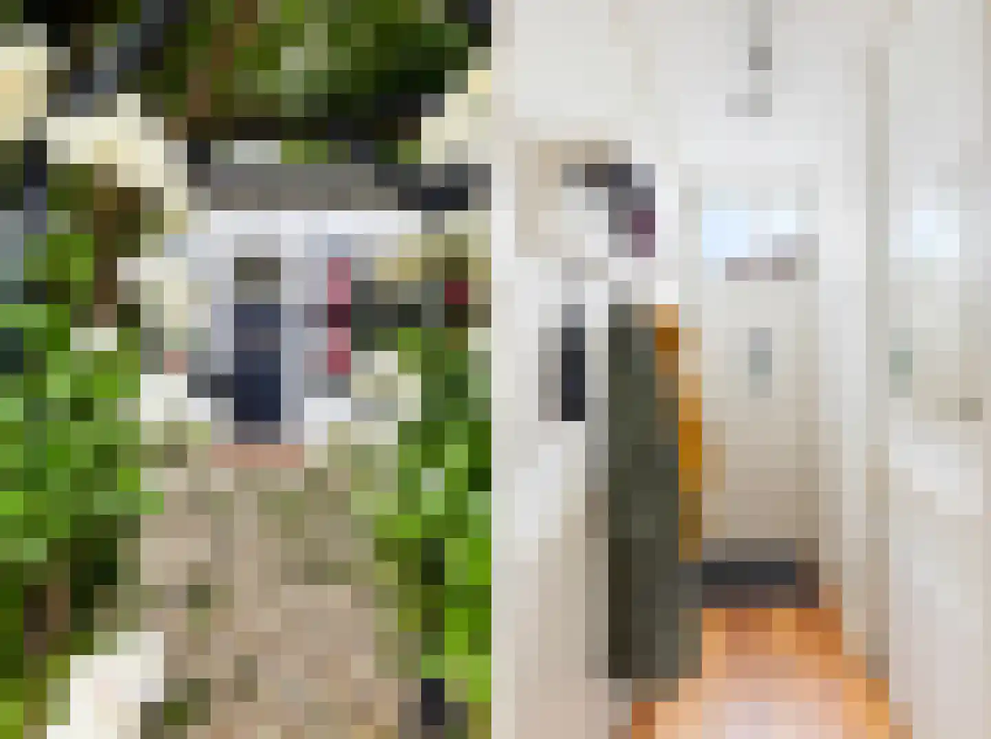 Slagtweistraat 27 Oudelande thumbnail 9