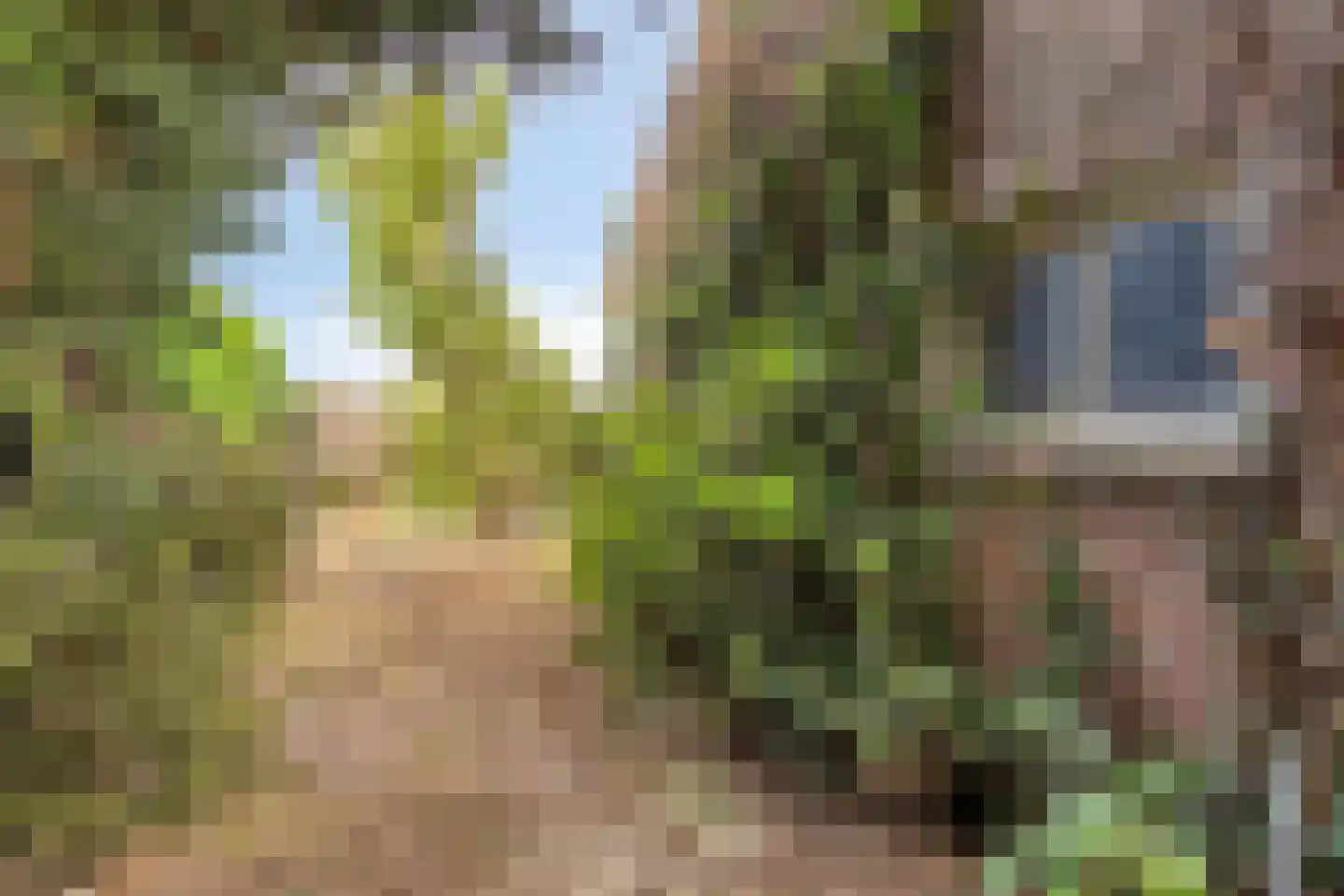 Slagtweistraat 5 Oudelande thumbnail 29