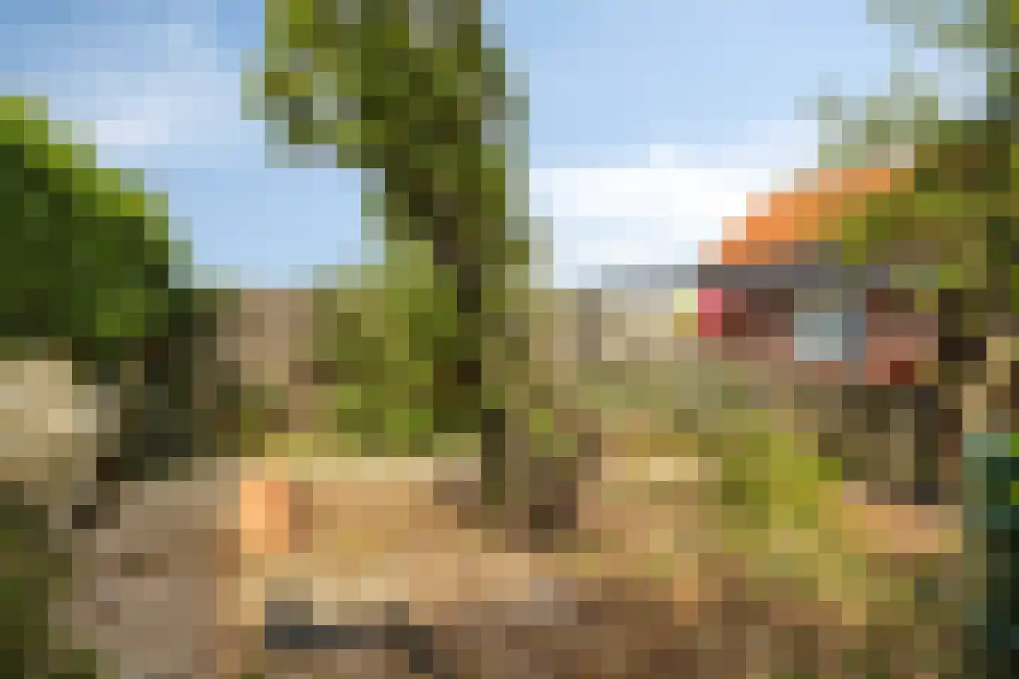 Slagtweistraat 5 Oudelande thumbnail 30