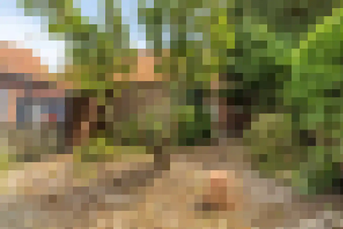 Slagtweistraat 5 Oudelande thumbnail 31