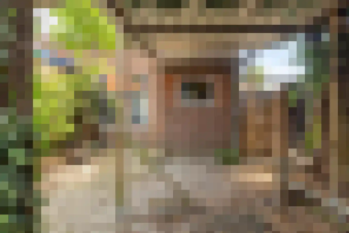 Slagtweistraat 5 Oudelande thumbnail 32