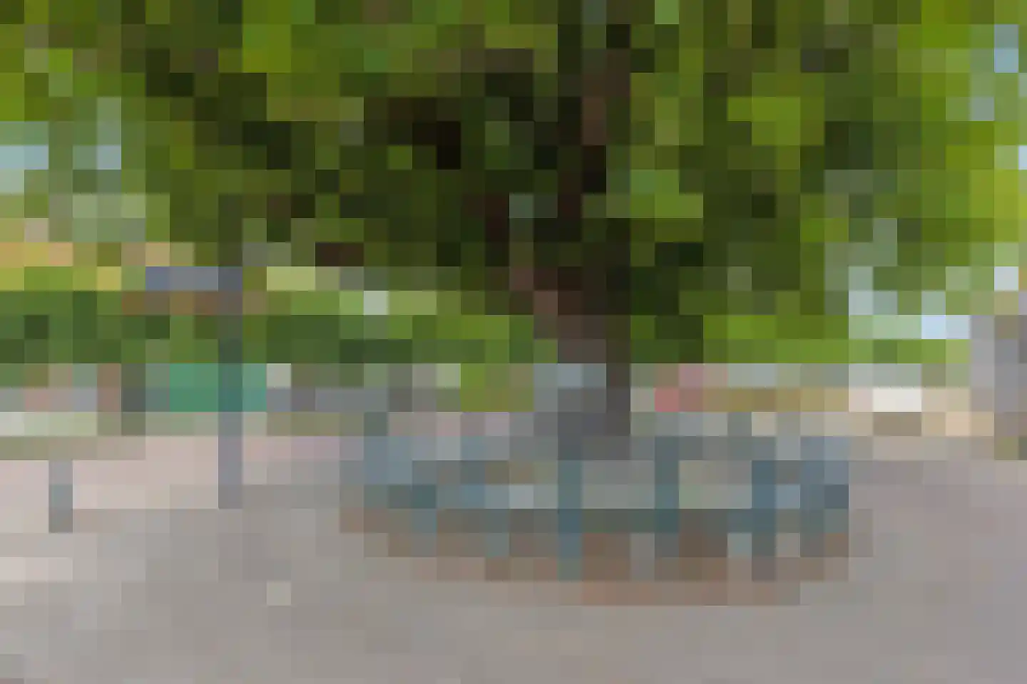 Slagtweistraat 5 Oudelande thumbnail 39