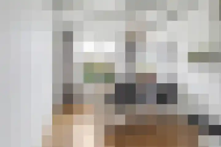 Slagtweistraat 7 Oudelande thumbnail 10
