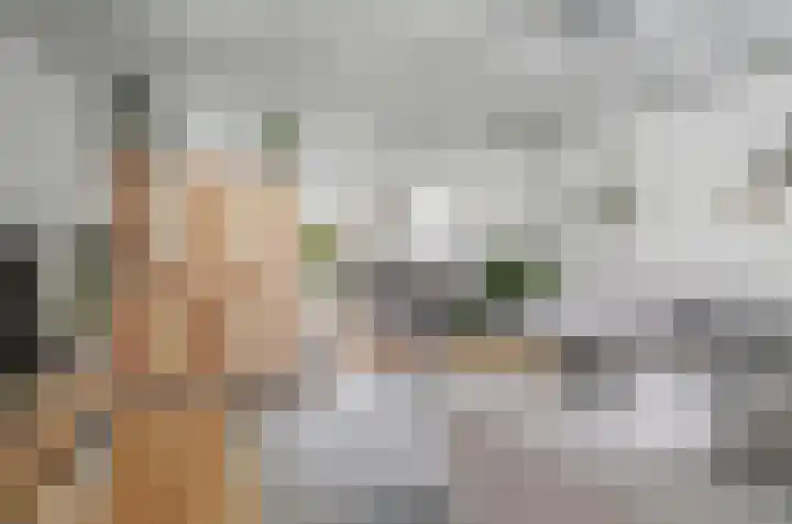 Slagtweistraat 7 Oudelande thumbnail 8
